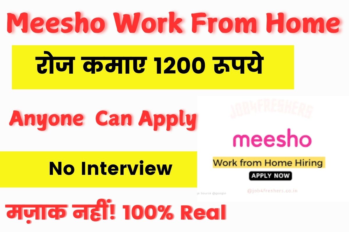 Meesho WFH Job