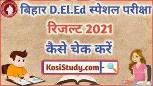 Bihar DElEd Special Exam Result 2021