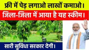 How to Apply in Bihar Ped Lagao Paise Pao Yojana
