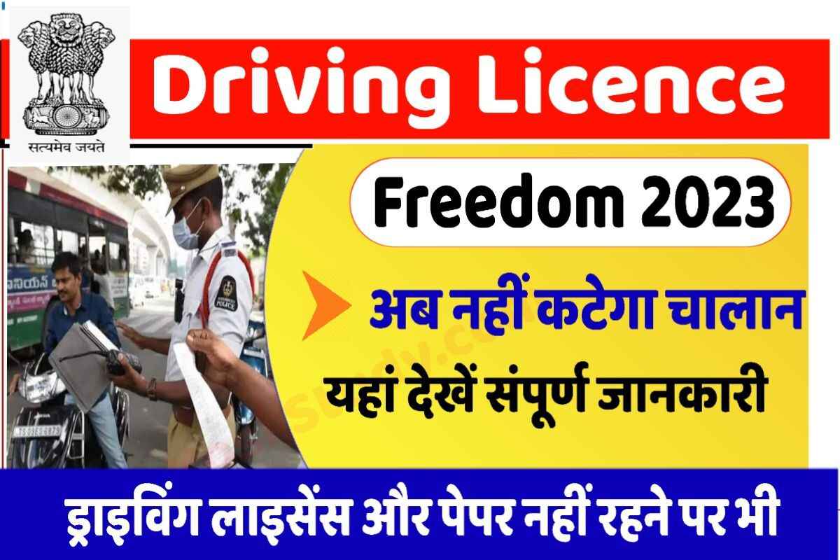 Driving Licence Freedom 2023